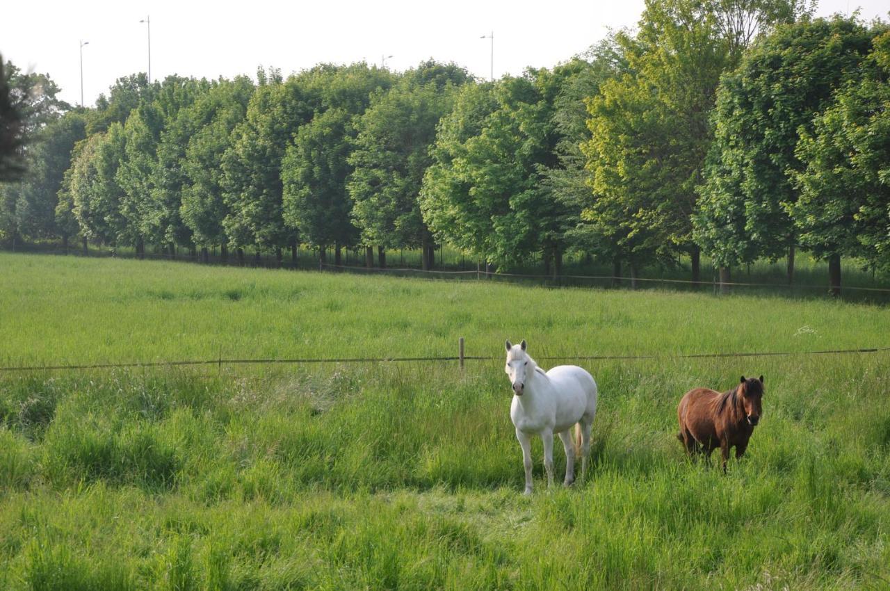 La Ferme De Vrilly Bed and Breakfast Reims Buitenkant foto